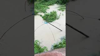 Havy Rain Fishing Hunting 😂😂shorts fishing rain mr10ty [upl. by Idnir]