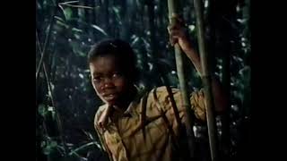 The Track of the African Bongo The Wonderful World of Disney 1977 [upl. by Bulley]