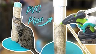 DIY Cat Scratching Post using PVC Pipe [upl. by Dorfman]