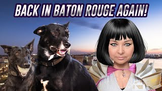 Baton Rouge time with rescue dog Kenny Rogers Mako and Dustin [upl. by Dusen662]