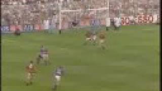 Michael Cleary goal Tipperary V Kilkenny Hurling 1991 [upl. by Ruby341]