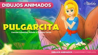 Pulgarcita  cuentos infantiles en Español [upl. by Ibrad]