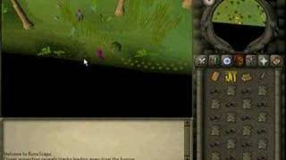 How to catch a Feldip Weasel in Runescape [upl. by Oir]