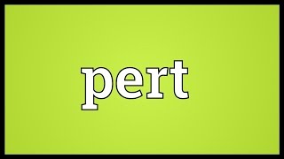 Pert Meaning [upl. by Amelita]