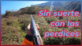 Sin suerte con las perdices [upl. by Archibald]