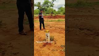 Farm Land For Sale in Tenkasi Near [upl. by Ayek921]