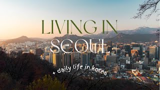 Daily Life in South Korea Vlog  Day 6 [upl. by Dilahk]