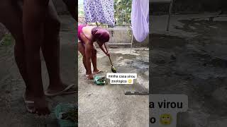 Limpando quintal limpeza registrodevida eusoucriador donadecasa vlog [upl. by Farrar282]