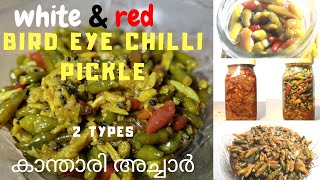 kanthari acharBird eye chilli pickle kanthari white and red pickle കാന്താരി അച്ചാർ [upl. by Asert]