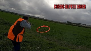 Chasse Du Petit Gibier au calibre 28  lièvres faisans perdrix [upl. by Emilia132]