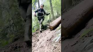 The process of dragging logs down the mountain [upl. by Ecertap]