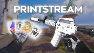 M4A1S Printstream BEST sticker Combos in CS2 [upl. by Zelma]