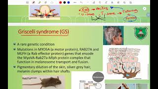 CH2 Golgi apparatus and vesicular transport Part 2 [upl. by Marlowe777]