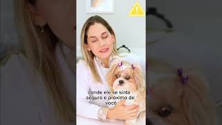 Dica importante  Como administrar colírio nos olhos do seu pet [upl. by Chiaki]