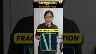 CBSE CLASS 10 Fragmentation vs Regeneration in 60 Sec🔥class10biology class10 boardexam2024 [upl. by Dennett643]