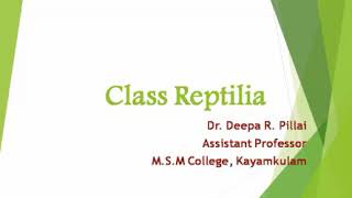 Class Reptilia Part1 Analsida Parapsida [upl. by Rosenblatt934]