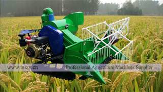 mini combined harvester and thresher machine for rice and wheat  rice wheat harvester machine [upl. by Drislane]