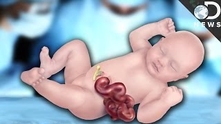 Pregnancy Week by Week Baby Development from 0 to 9 Months [upl. by Aciretehs]