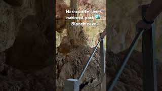 Naracoorte caves national parks 🏞️ South Australia 🇦🇺 cave travel everyone highlights [upl. by Attenehs84]