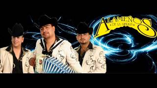 ANDO BIEN ARREGLADO Y CUMBIAS EN VIVO BY ALAMEÑOS DE LA SIERRA [upl. by Lorant]