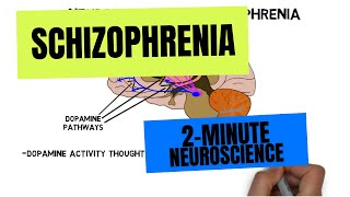 2Minute Neuroscience Schizophrenia [upl. by Killarney]