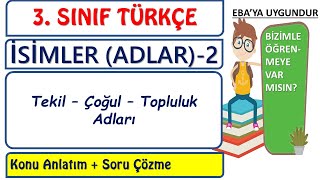 3 Sınıf Türkçe Tekil Çoğul ve Topluluk Adları [upl. by Itsyrk]