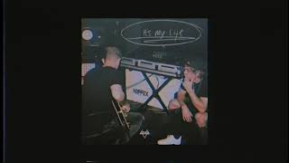 NEFFEX  Its My Life Official Audio [upl. by Maice]