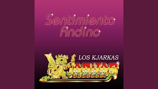 Mix kjarkas 10 grandes exitos [upl. by Mairem]