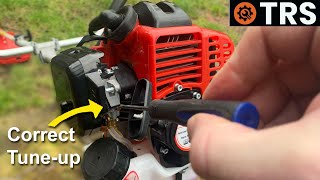 Homelite Weed Trimmer Repair Tutorial Part 1 [upl. by Hewet]