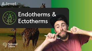 Endotherms amp Ectotherms  A Level Biology  OCR [upl. by Ledniahs185]