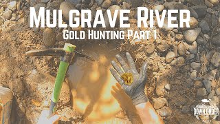 GOLD PROSPECTING in Queenslands Rivers  Part 1 [upl. by Eiznil]