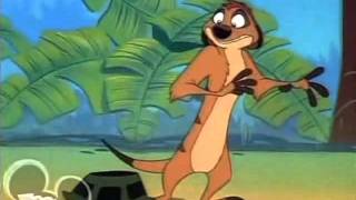 Timon amp PumbaaOnce Upon a TimonThe Song [upl. by Thomasin]