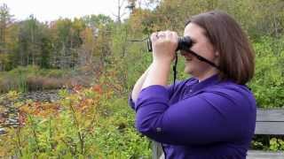 How to get crystal clear focus with your binoculars [upl. by Evin507]