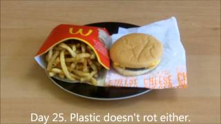 The 31 day McDonalds burger experiment [upl. by Einial544]