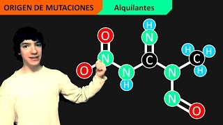 Mutaciones inducidas Mutágenos [upl. by Nooj]