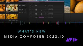 Avid Media Composer — Selection Tools in the Timeline [upl. by Nostaw]