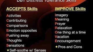 DBT Peer Connections  Episode 3b  Distress Tolerance Skills by Rachel Gill [upl. by Lertnahs]