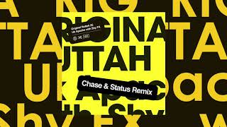 UK Apache with Shy FX Original Nuttah 25 Chase amp Status Remix Feat Irah [upl. by Constancy872]