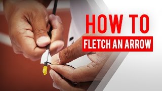 How to fletch an arrow with spin wings in archery [upl. by Mariann]