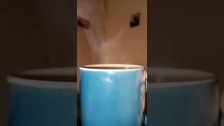 Coffee time coffee timelapse slowmo fyp shortvideos music breakfast asmr lifehack [upl. by Ytrebil626]