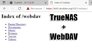 How to create a Web sharing Data on TrueNAS with WebDAV [upl. by Luapleahcim]