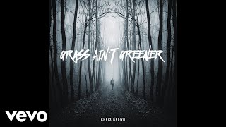 Chris Brown  Grass Aint Greener Audio [upl. by Coughlin9]