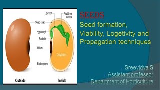 Seed formation Viability Longevity and Propagation techniques [upl. by Nelleh]