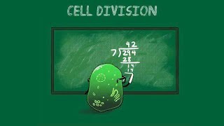 Cell Division Mitosis amp Meiosis [upl. by Shulock8]