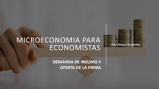 Demanda de insumo y oferta de la firma [upl. by Nwahsyd]