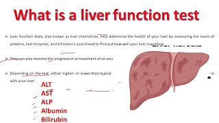 Liver Function test explained  ALT AST ALP Albumin Bilirubin Test  BiologyLectures [upl. by Assirialc61]