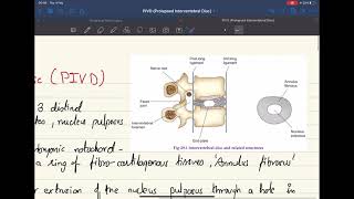 Pelvic Prolapse HIIT Cardio Workout  PROLAPSE SAFE EXERCISES  LOW IMPACT CARDIO WORKOUT [upl. by Khanna]