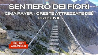 Via Ferrata Sentiero dei Fiori  Cima Payer  Creste del Presena  Alpi ReticheAdamello  4k [upl. by Anidem]