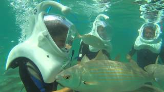 SEA TREK helmet diving in Lanzarote [upl. by Aynahs969]