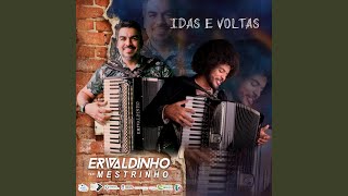 Idas e Voltas [upl. by Nepsa]